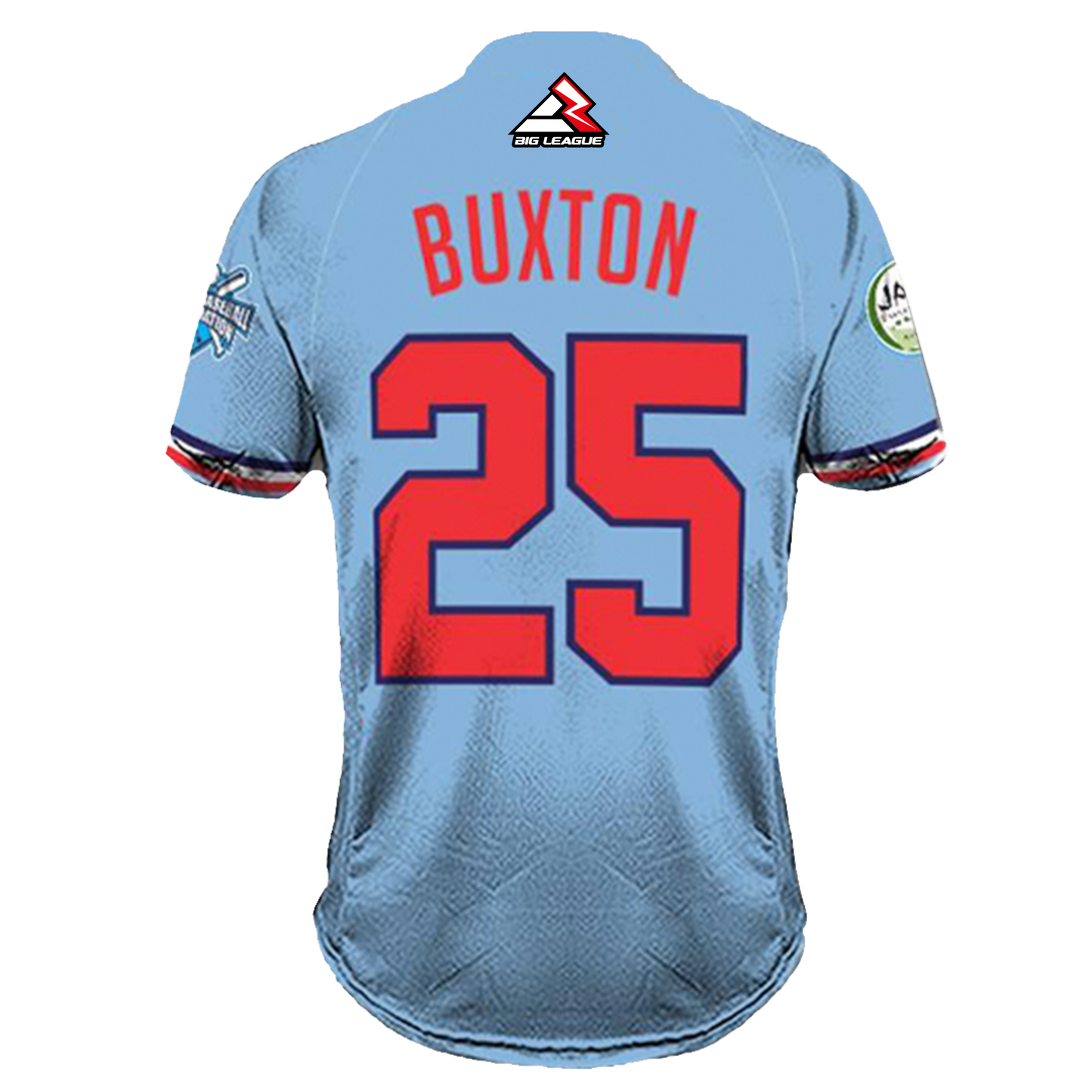 Twins Full Button - Baseball