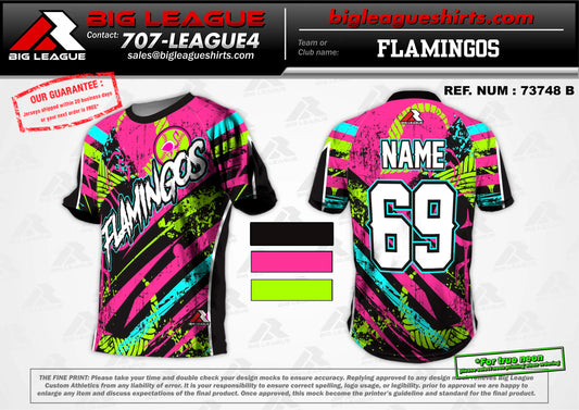 Princeton Little League