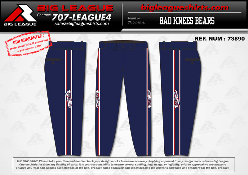 Load image into Gallery viewer, Bad Knees Bears Team Store
