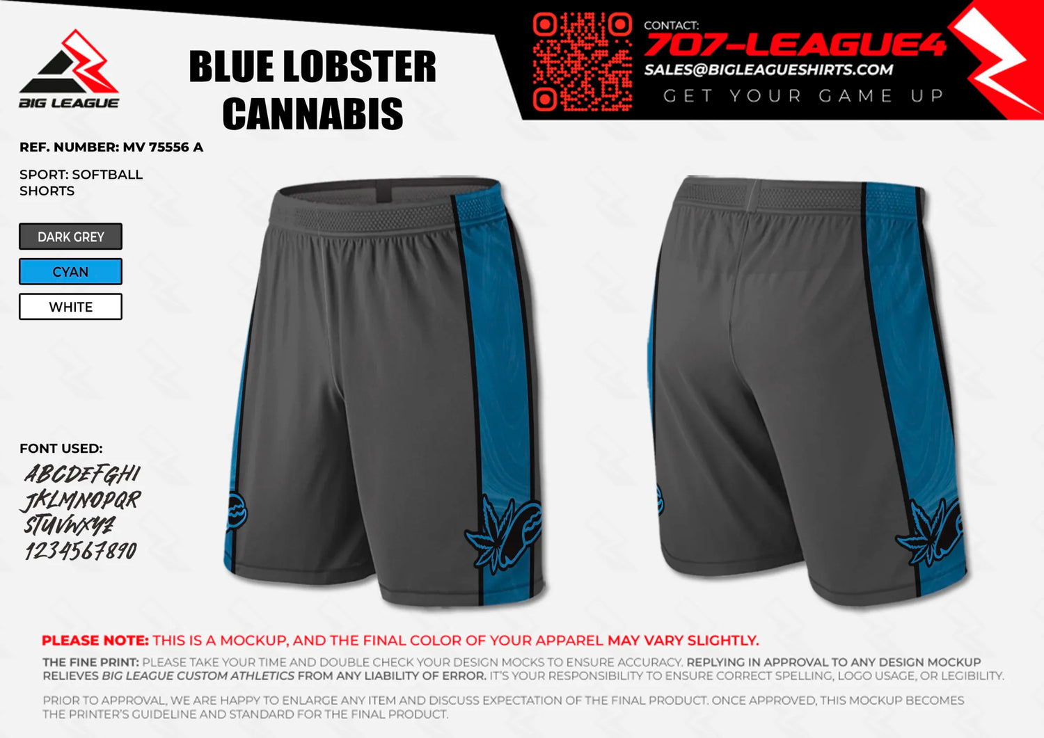Shorts / Dark Grey - Cyan - Black Stripes