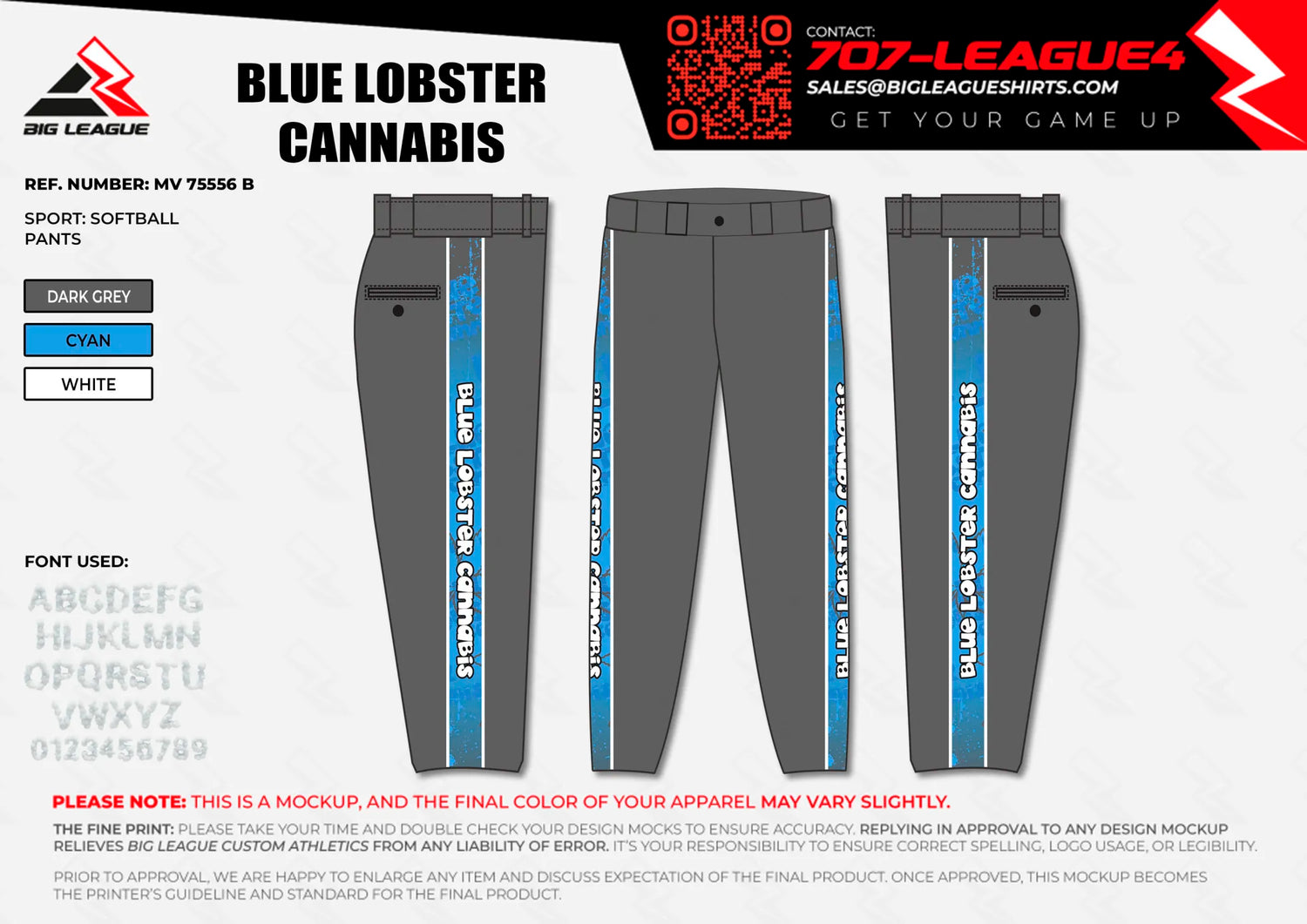 Pants / Dark Grey - Cyan - White Stripes