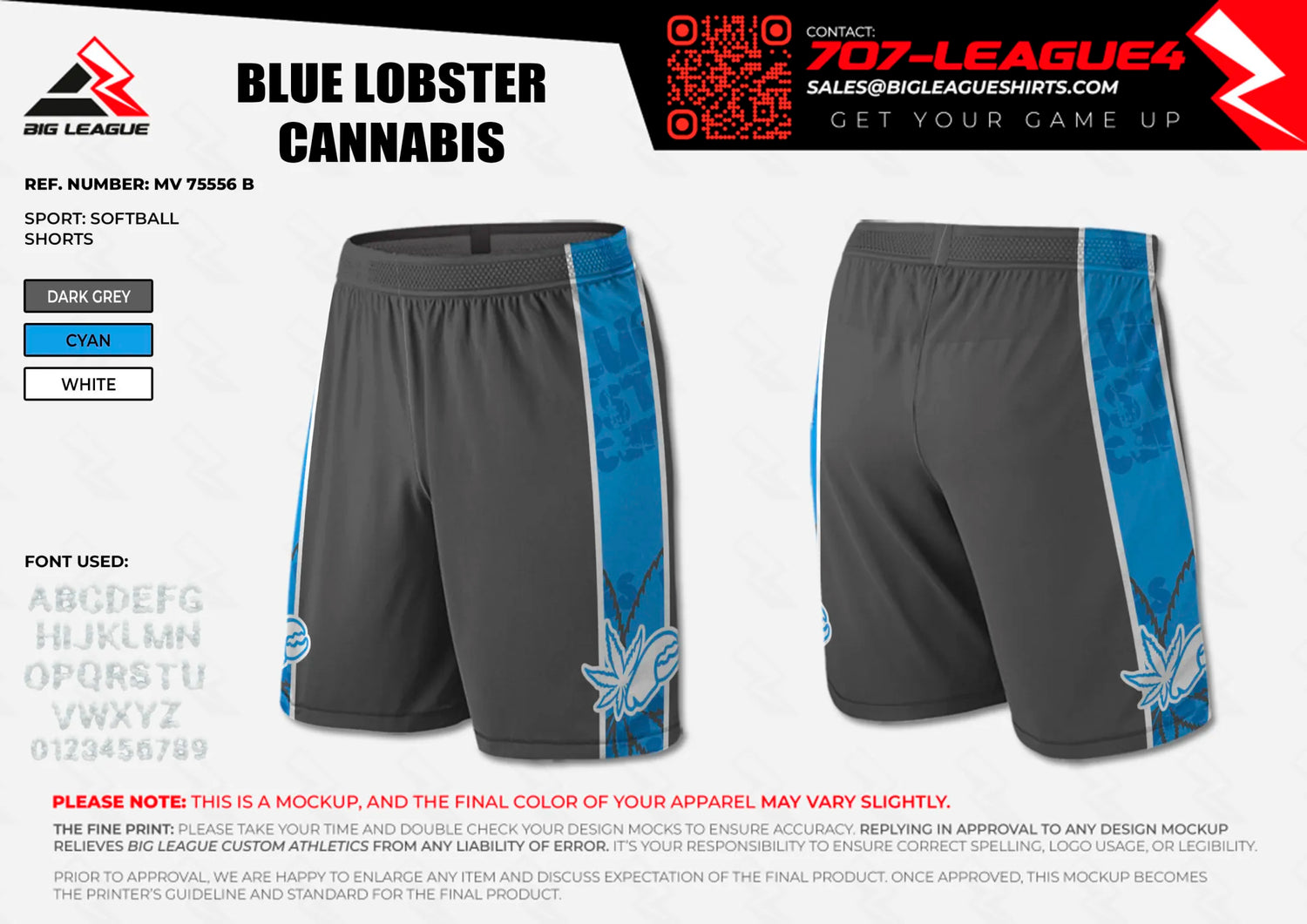 Shorts / Dark Grey - Cyan - White Stripes