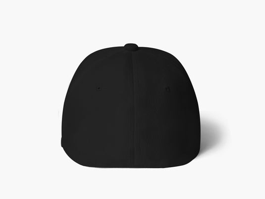 Big Flex- Fitted Hat