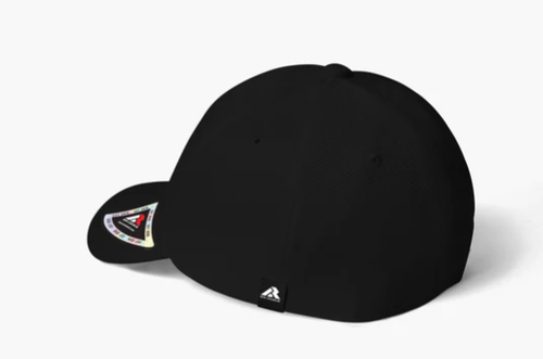 Big Flex - FlexFit Hat