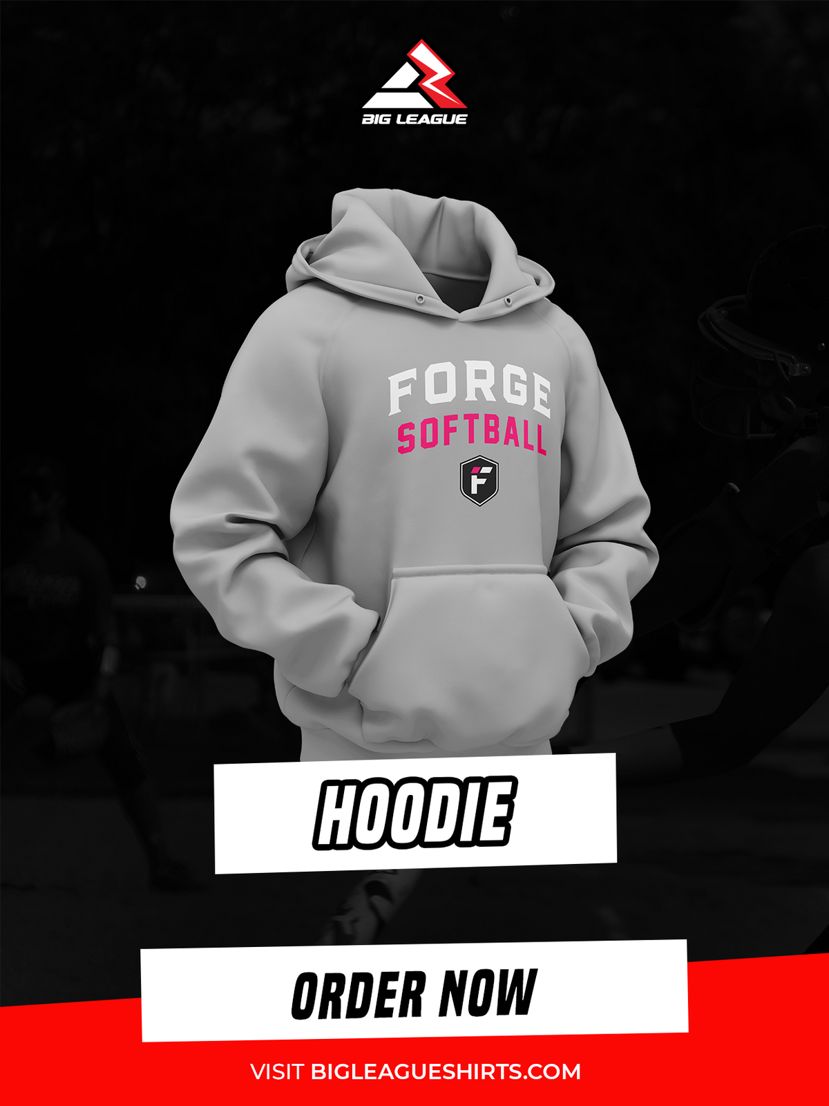 Hoodie / Grey