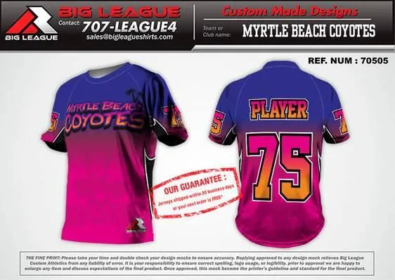 Crewneck Jersey / Blue - Pink