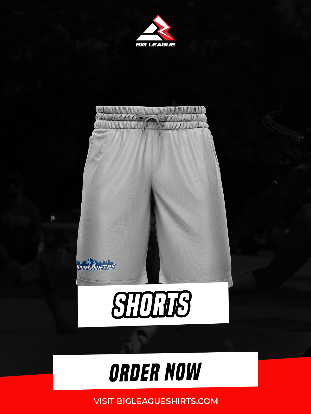 Shorts / Grey
