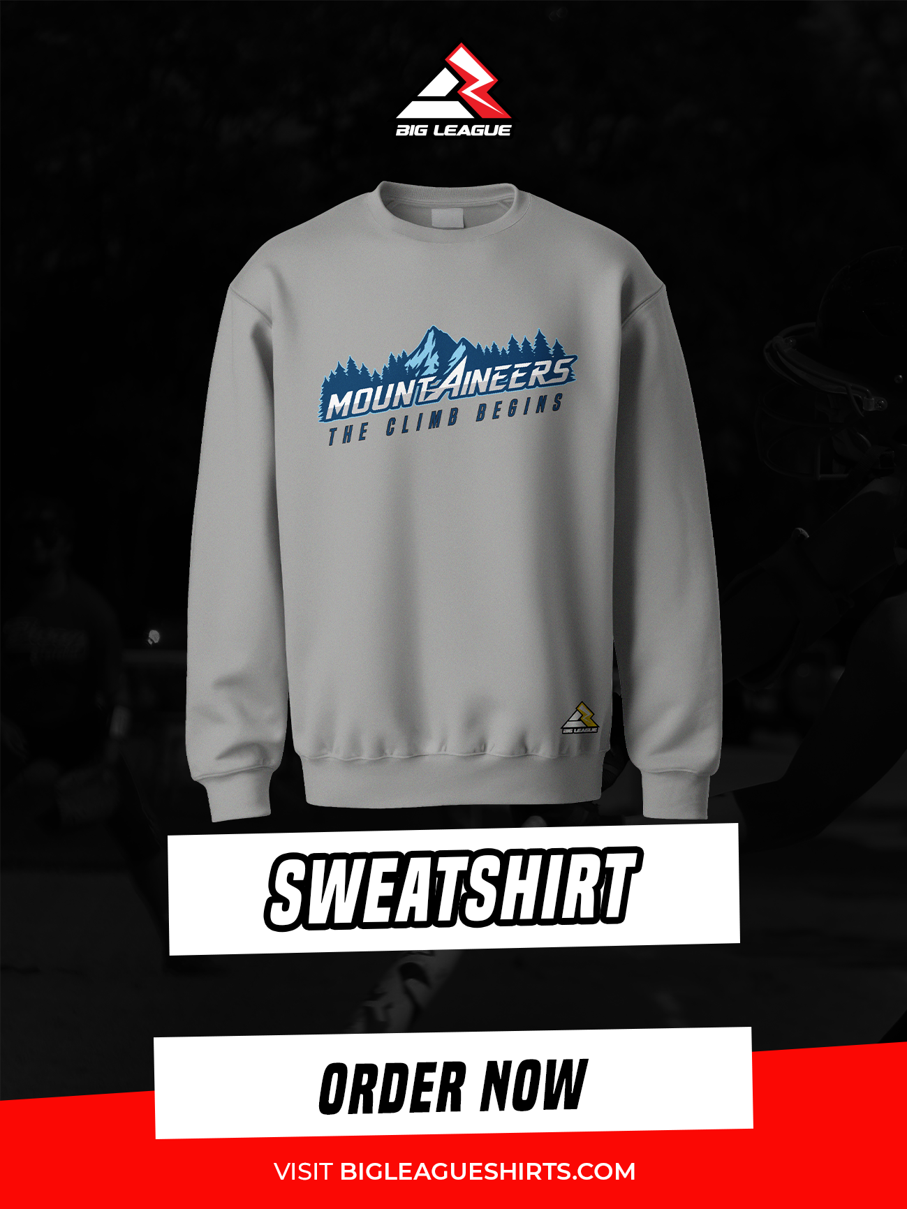 Sweatshirt / Grey