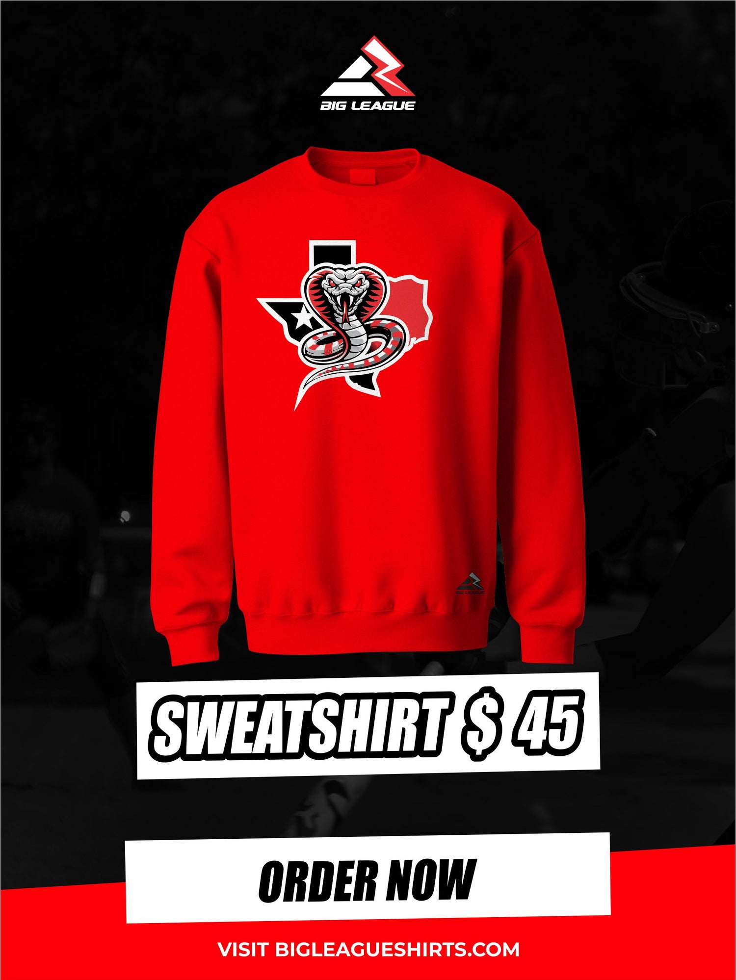 Sweatshirt / Red