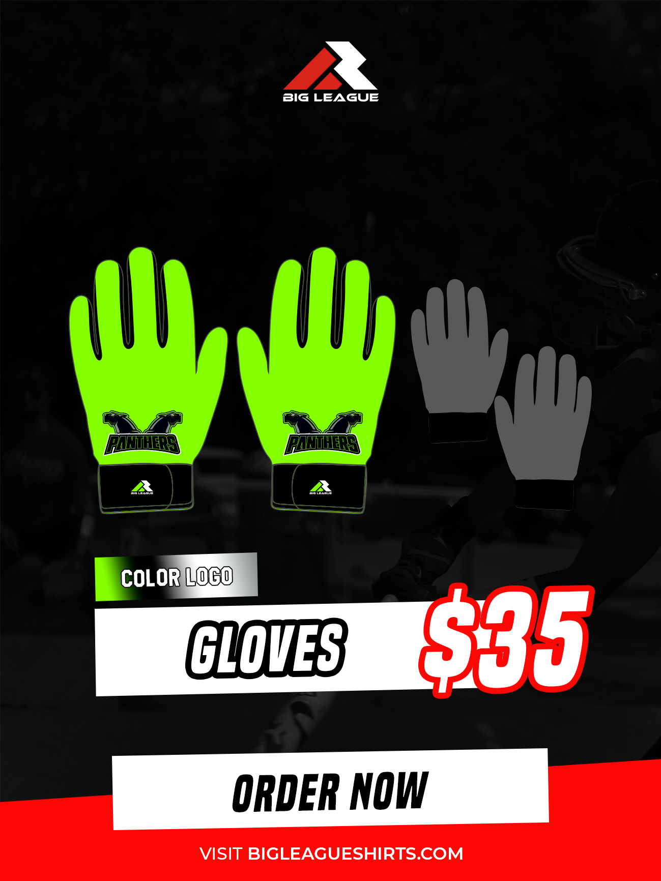 Panthers - Softball - Gloves