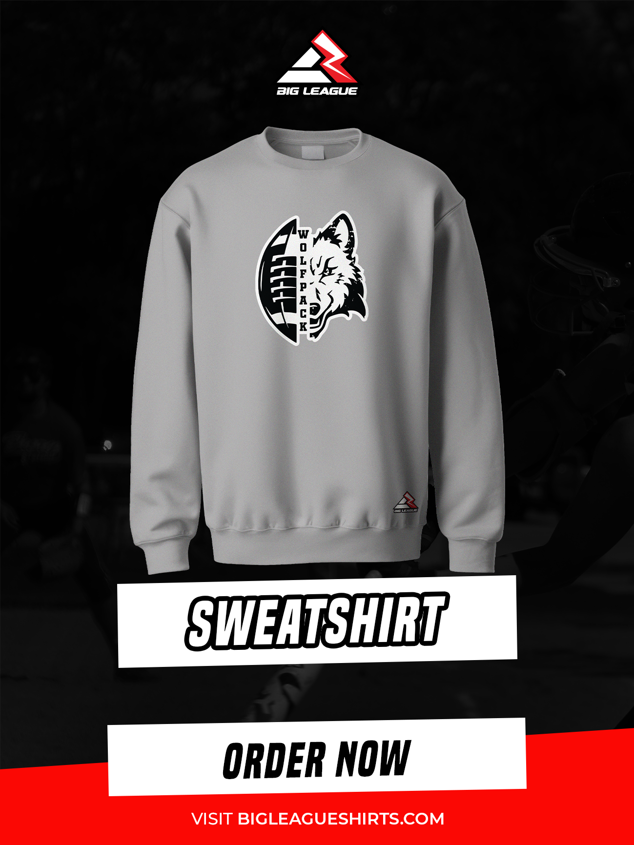 Sweatshirt / Gray