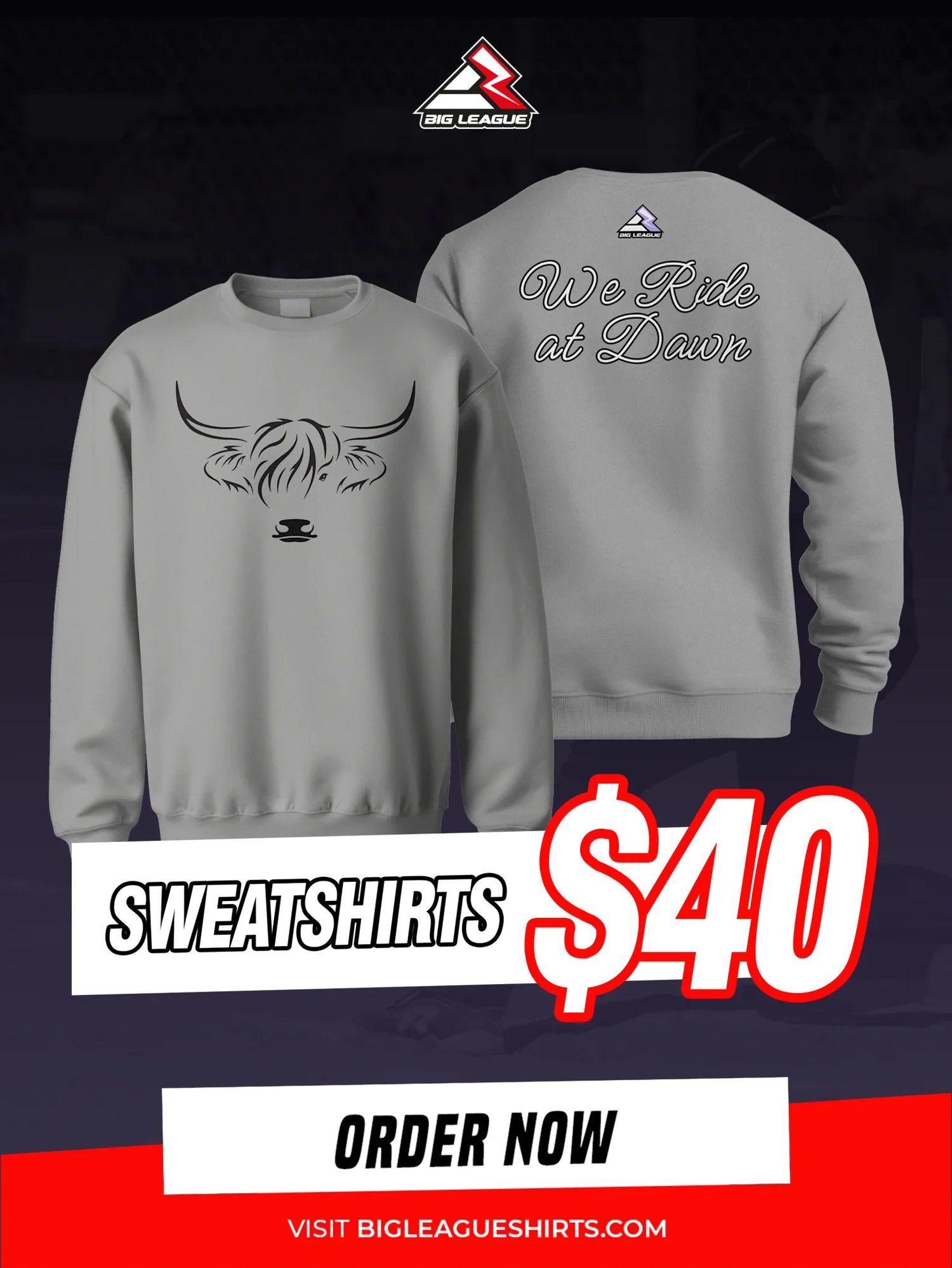 Sweatshirts / Grey