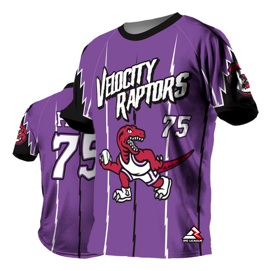 Velocity Raptors - Softball