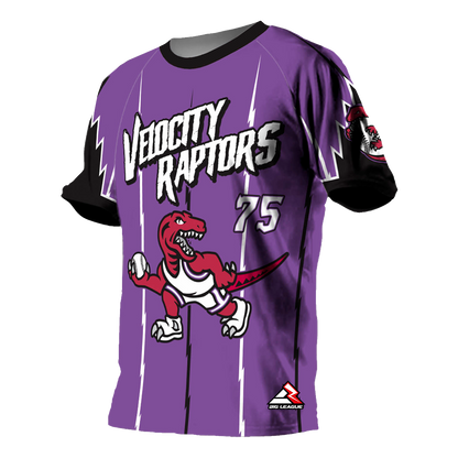 Velocity Raptors - Softball