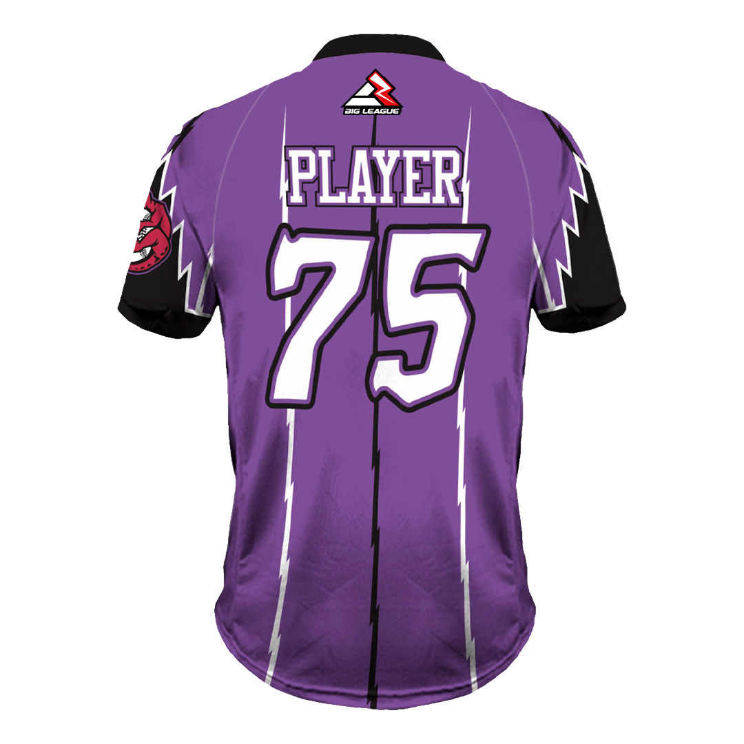 Velocity Raptors - Softball
