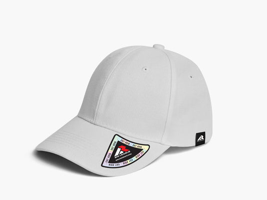 Big Flex - FlexFit Hat