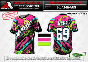 Princeton Little League