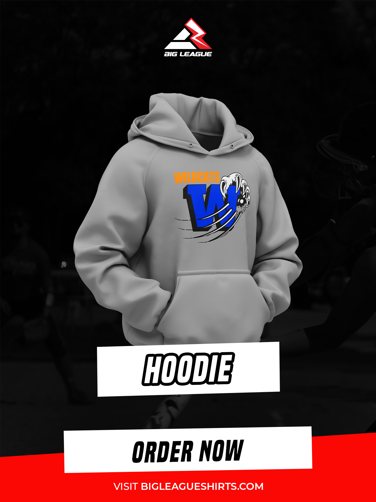 Hoodie / Gray