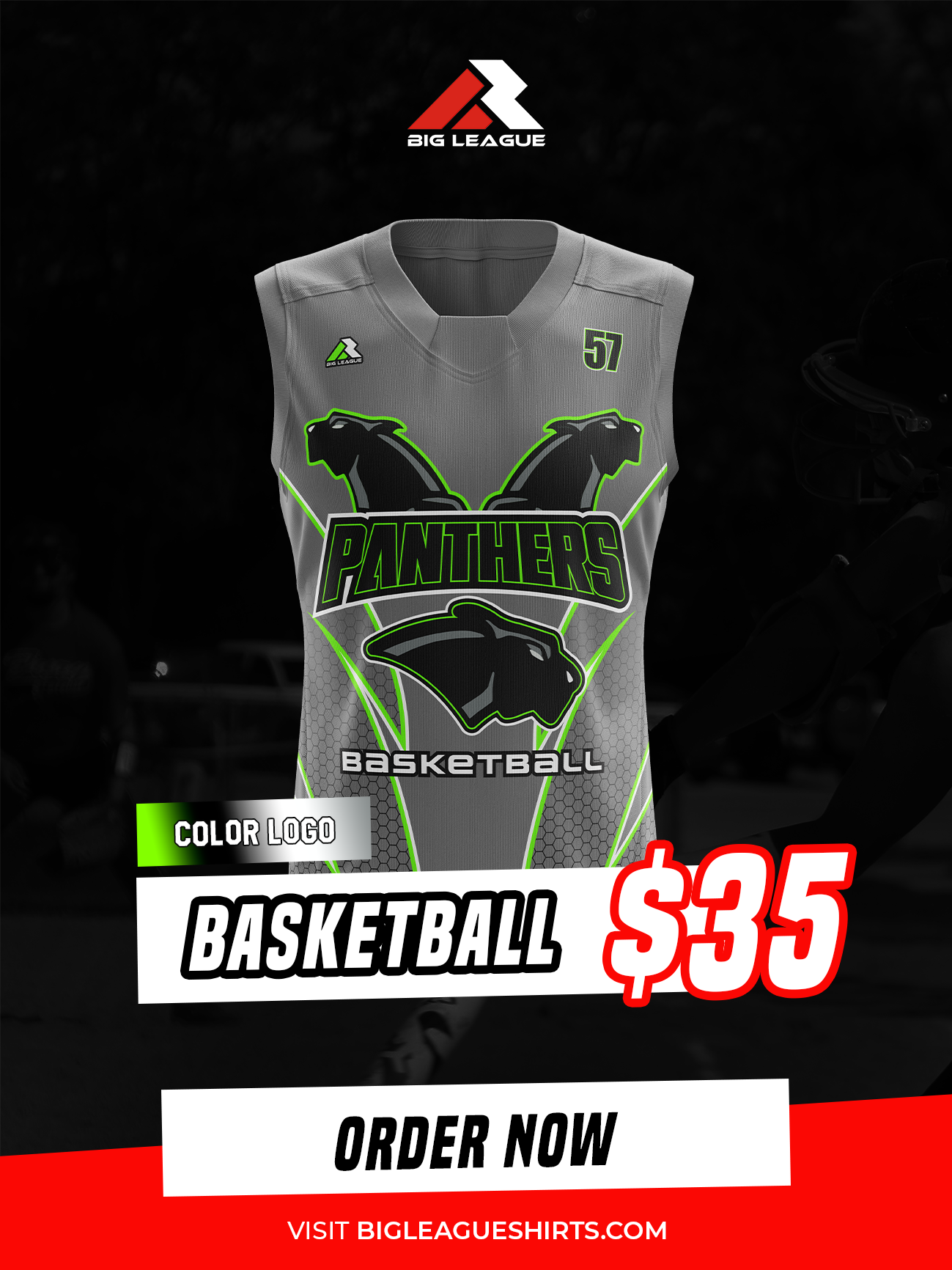 Panthers - Basketball - Grey