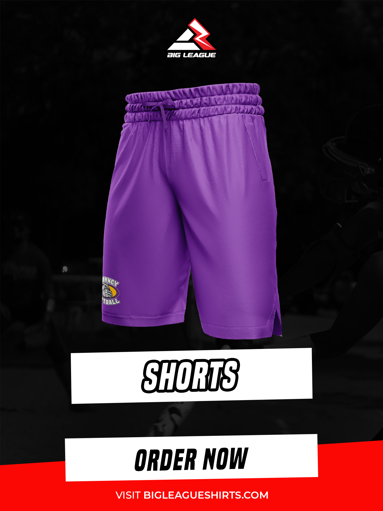 Shorts / Purple